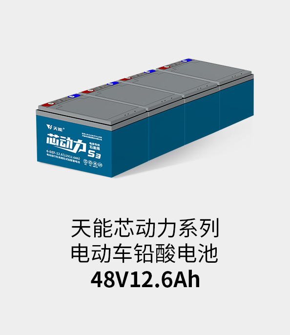 月博电池48v12ah