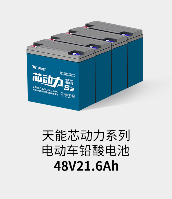 月博电池48v20ah