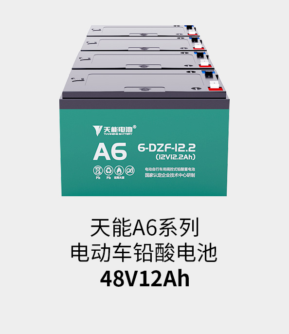 月博电池48v12ah