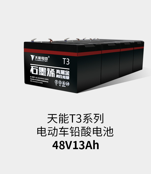 月博T3系列48v13ah