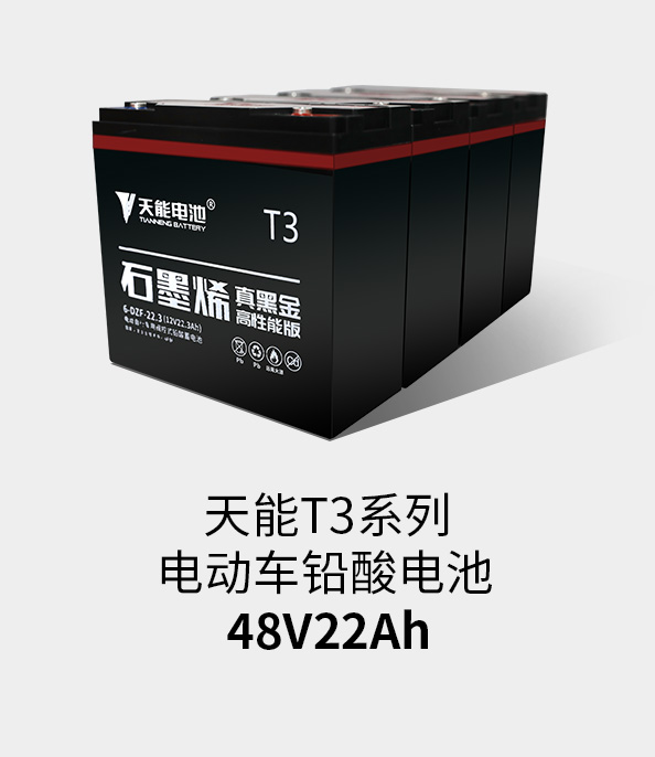 月博T3系列48v22ah