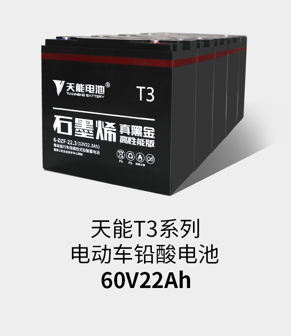 月博T3系列60v22ah